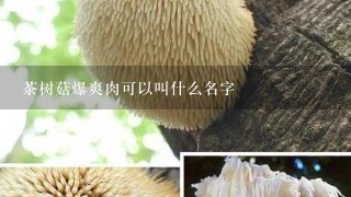 茶树菇爆爽肉可以叫什么名字