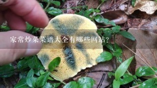 家常炒菜菜谱大全有哪些网站？