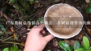 广东茶树菇排骨汤的做法，茶树菇排骨汤的做法及功效