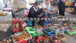 云南满泽桦树茸俄罗斯严寒地区的价格多少钱一斤？