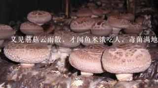 又见蘑菇云雨散，才闻鱼米饿吃人，毒菌满地疮痍甚，不是名称第一真，是什么意思？