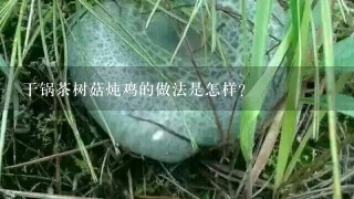 干锅茶树菇炖鸡的做法是怎样？