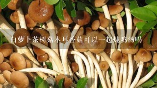 白萝卜茶树菇木耳香菇可以一起炖鸡汤吗