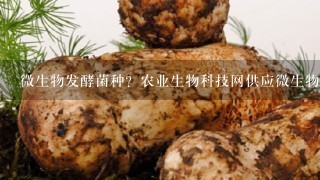 微生物发酵菌种？农业生物科技网供应微生物发酵菌种？微生物肥料发酵菌种？微生物饲料发酵菌种？