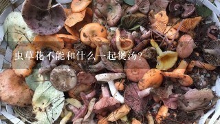 虫草花不能和什么一起煲汤？