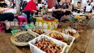 鹿茸怎么吃 鹿茸怎么食用