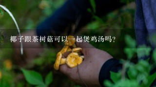 椰子跟茶树菇可以一起煲鸡汤吗？