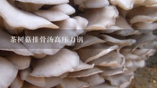 茶树菇排骨汤高压力锅