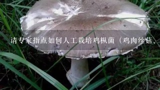 请专家指点如何人工栽培鸡枞菌（鸡肉丝菇、鸡菌、伞把菇）。或提供点相关的资料，谢谢