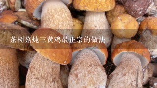 茶树菇炖三黄鸡最正宗的做法