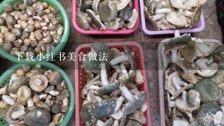 下载小红书美食做法