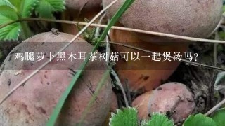 鸡腿萝卜黑木耳茶树菇可以一起煲汤吗？