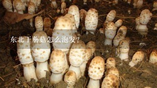 东北干蘑菇怎么泡发？