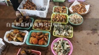 白芷和茶树菇炖鸭可以喝吗