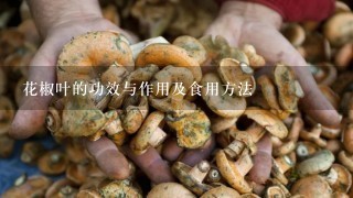 花椒叶的功效与作用及食用方法