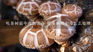 吃茶树菇中毒怎么办 吃茶树菇中毒怎么处理