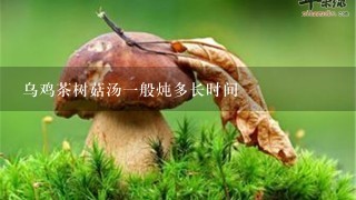 乌鸡茶树菇汤一般炖多长时间
