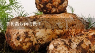 茶树菇炒肉的做法