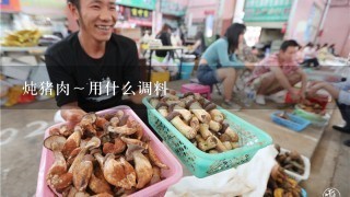 炖猪肉～用什么调料