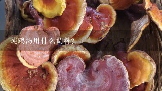 炖鸡汤用什么调料？