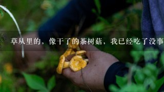 草从里的，像干了的茶树菇，我已经吃了没事。这是什么菇，有无副作用！