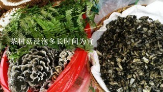 茶树菇浸泡多长时间为宜