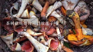 茶树菇炖排骨可以放莲子吗