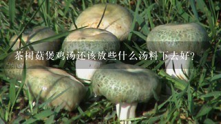 茶树菇煲鸡汤还该放些什么汤料下去好？