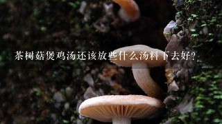 茶树菇煲鸡汤还该放些什么汤料下去好？