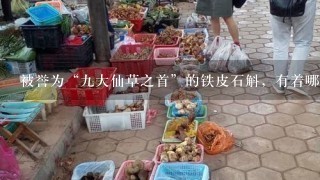 被誉为“九大仙草之首”的铁皮石斛，有着哪些功效和