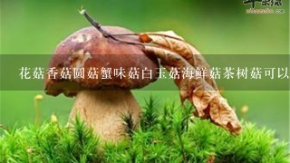 花菇香菇圆菇蟹味菇白玉菇海鲜菇茶树菇可以一起炖吗？