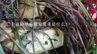 2十道简单易做家常菜是什么？