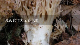 炖汤食谱大全补气血