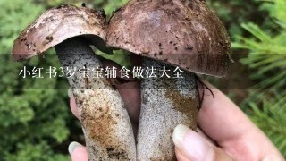 小红书3岁宝宝辅食做法大全