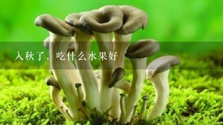 入秋了，吃什么水果好