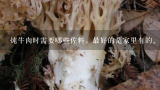 炖牛肉时需要哪些佐料，最好的是家里有的。