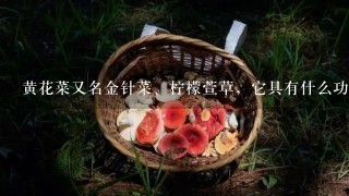 黄花菜又名金针菜、柠檬萱草，它具有什么功效和作用