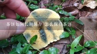 茶饼如何长期保存 怎么保存茶饼