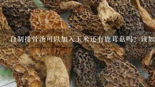 自制排骨汤可以加入玉米还有鹿茸菇吗？该如何制作？