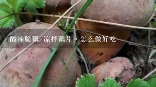 酸辣脆藕/凉拌藕片·怎么做好吃