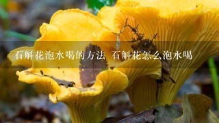 石斛花泡水喝的方法 石斛花怎么泡水喝