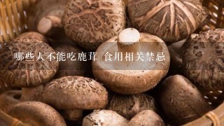 哪些人不能吃鹿茸 食用相关禁忌