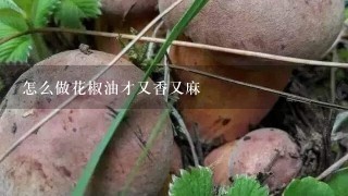 怎么做花椒油才又香又麻