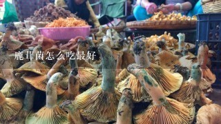 鹿茸菌怎么吃最好