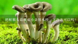 把鲜猴头菇撕成小朵用水抄1下冷冻可以吗？