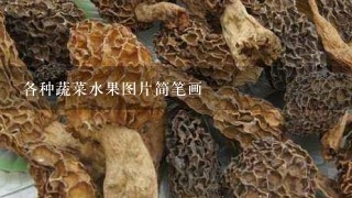 各种蔬菜水果图片简笔画