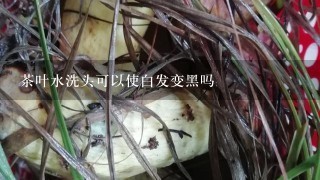 茶叶水洗头可以使白发变黑吗