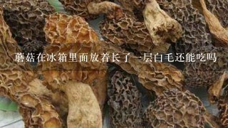 蘑菇在冰箱里面放着长了1层白毛还能吃吗