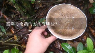 鉴别毒蘑菇的方法有哪些？