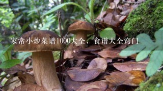 家常小炒菜谱1000大全，食谱大全窍门